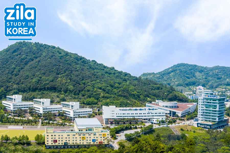 di-du-hoc-dai-hoc-songwon-han-quoc-송원대학교-university