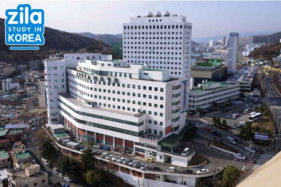 du-hoc-dai-hoc-Kosin-han-quoc-고신대학교-university