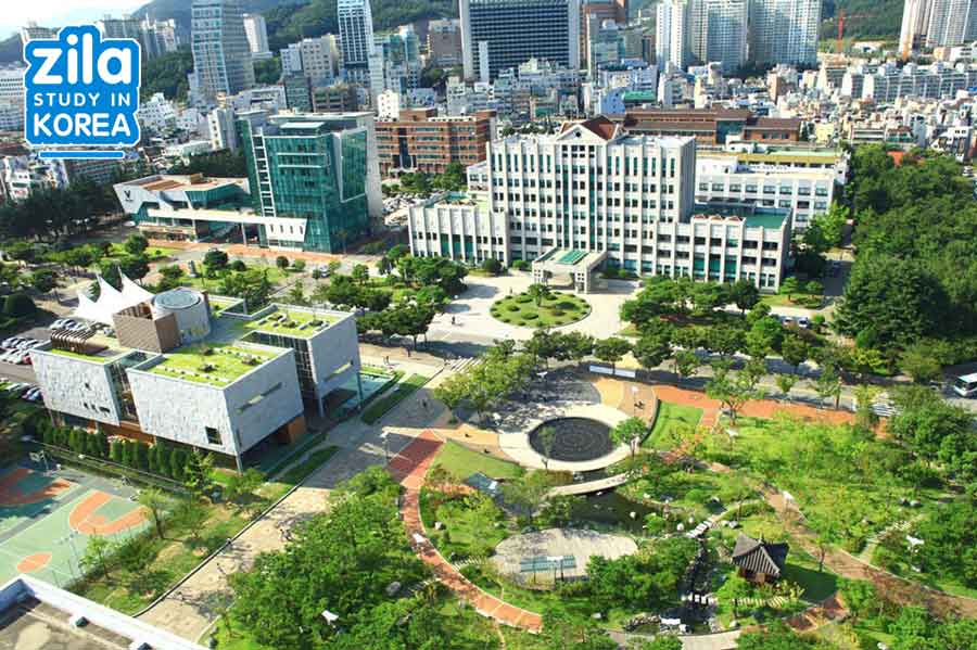 du-hoc-dai-hoc-quoc-gia-pukyong-han-quoc-부경대학교-university