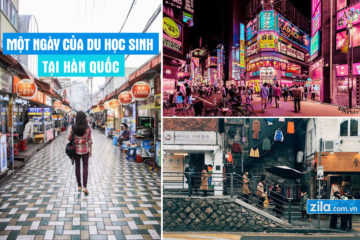 mot-ngay-cua-du-hoc-sinh-han-quoc-zila
