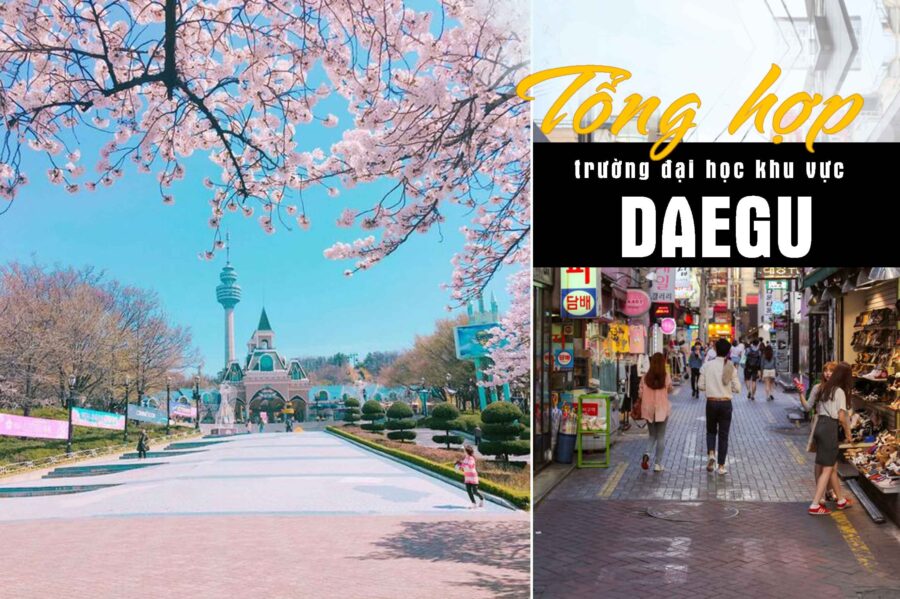 tong-hop-cac-truong-dai-hoc-khu-vuc-daegu