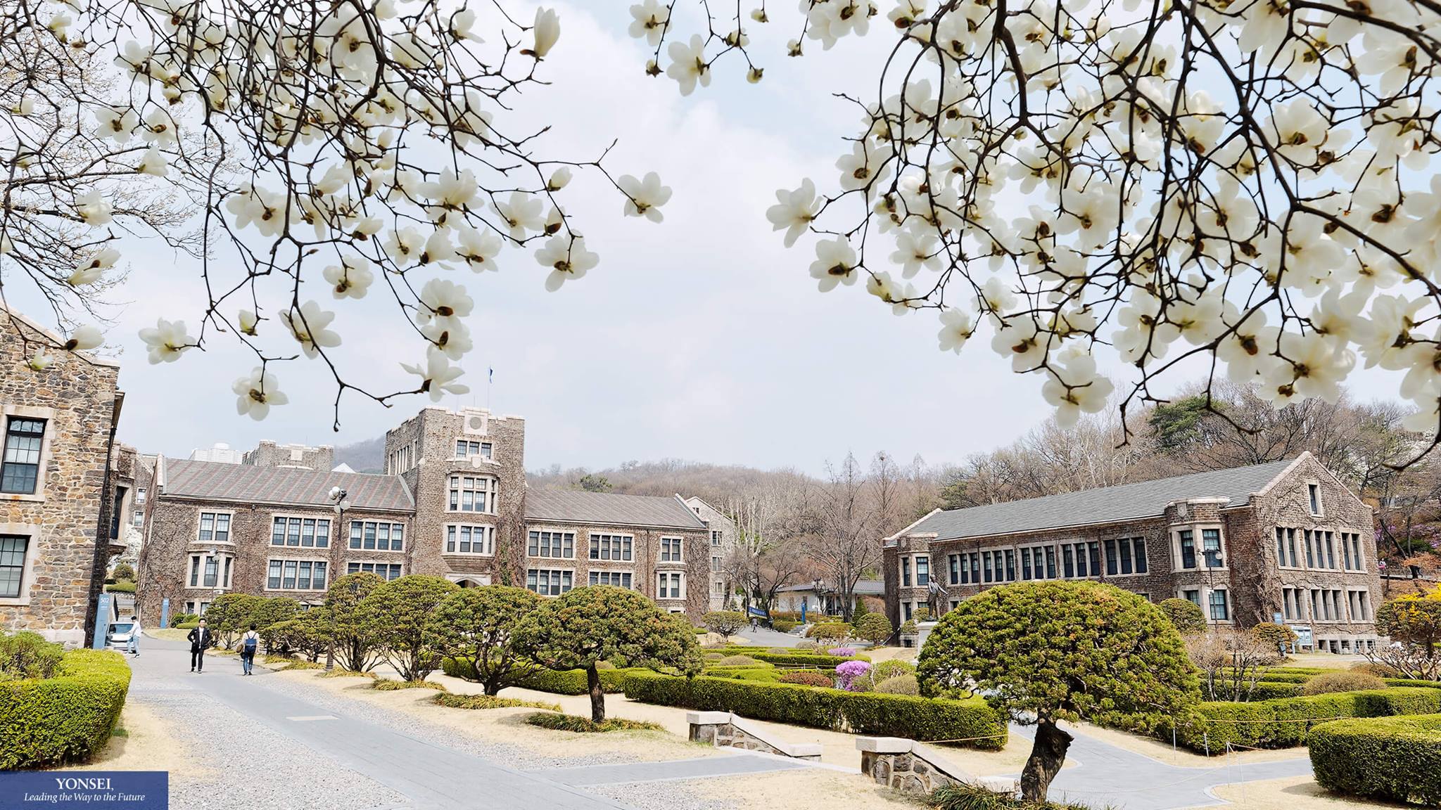 Йонсей университет корея. Университет Йонсей Южная Корея. Университет ёнсе в Корее. Енисей университет Корея. Университет ёнсе (Yonsei University). Внутри.