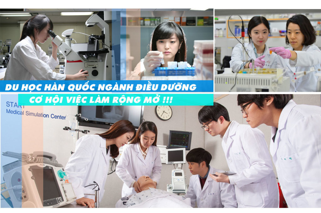 du-hoc-han-quoc-nganh-dieu-duong