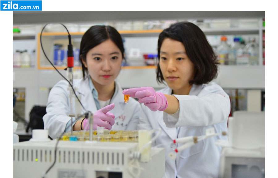 du-hoc-han-quoc-nganh-dieu-duong-2019