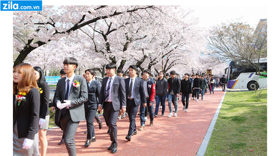 du-hoc-han-quoc-nganh-quan-tri-kinh-doanh-2