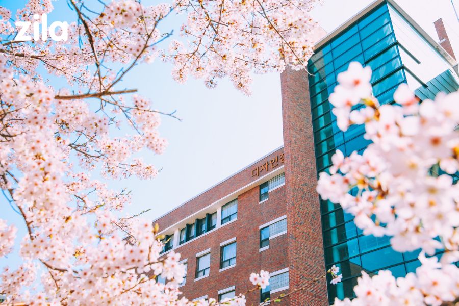 Đại học Namseoul Hàn Quốc