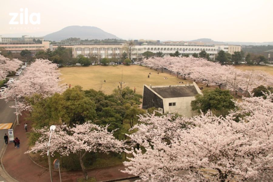 Đại học Quốc gia Jeju (4)