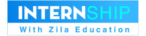 logo-zila-internship-korea-2