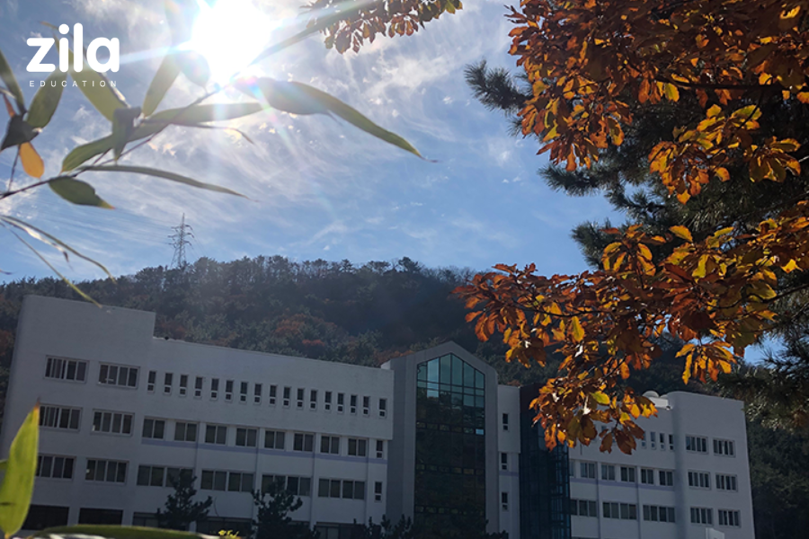 Đại học Youngsan Hàn Quốc