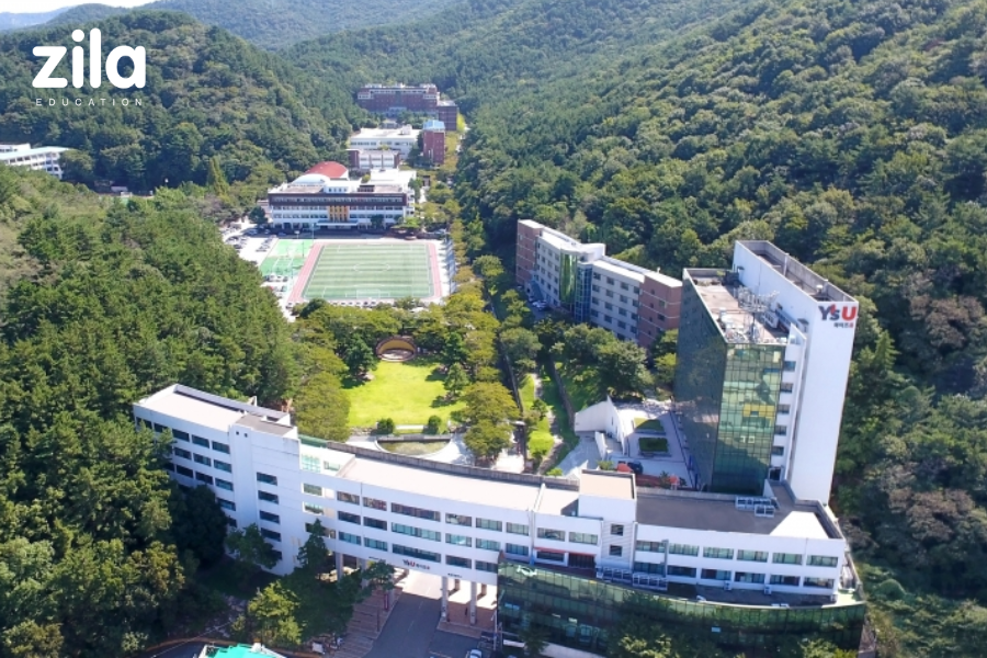 Đại học Youngsan Hàn Quốc
