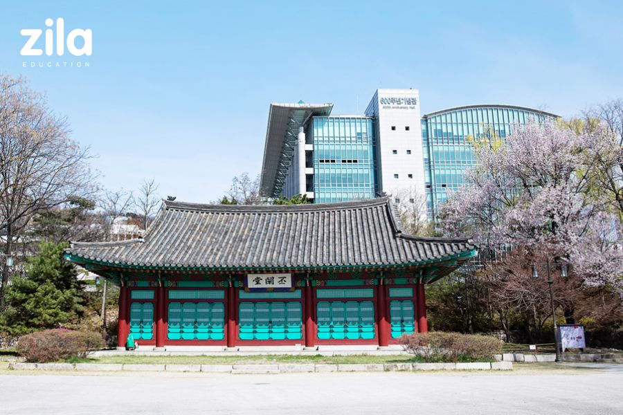 dai-hoc-sungkyunkwan