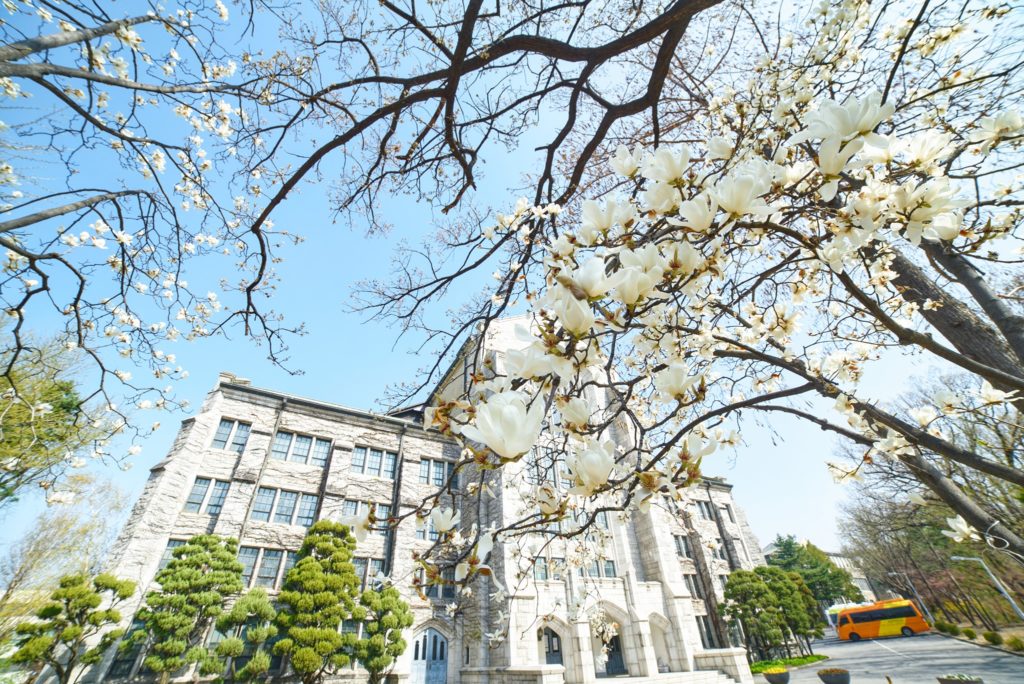 Đại học nữ sinh Ewha - Bông hồng của ngành giáo dục Hàn Quốc