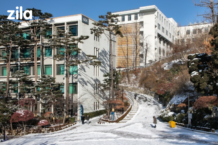 Đại học Hanyang Hàn Quốc (4)