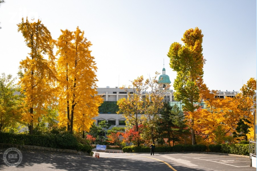 Đại học Hanyang Hàn Quốc (5)