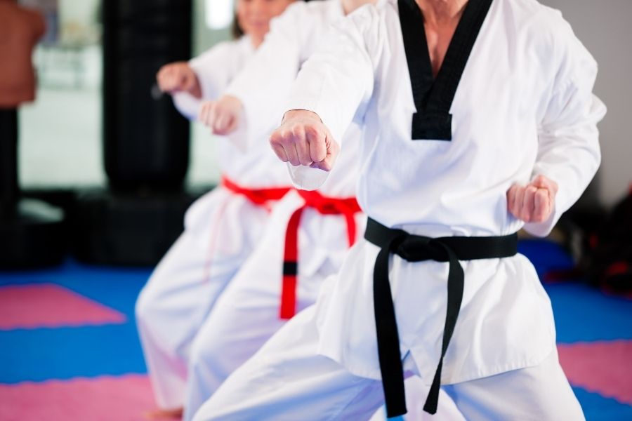 Cho taekwondo nhau vs nao khac karate Nên học