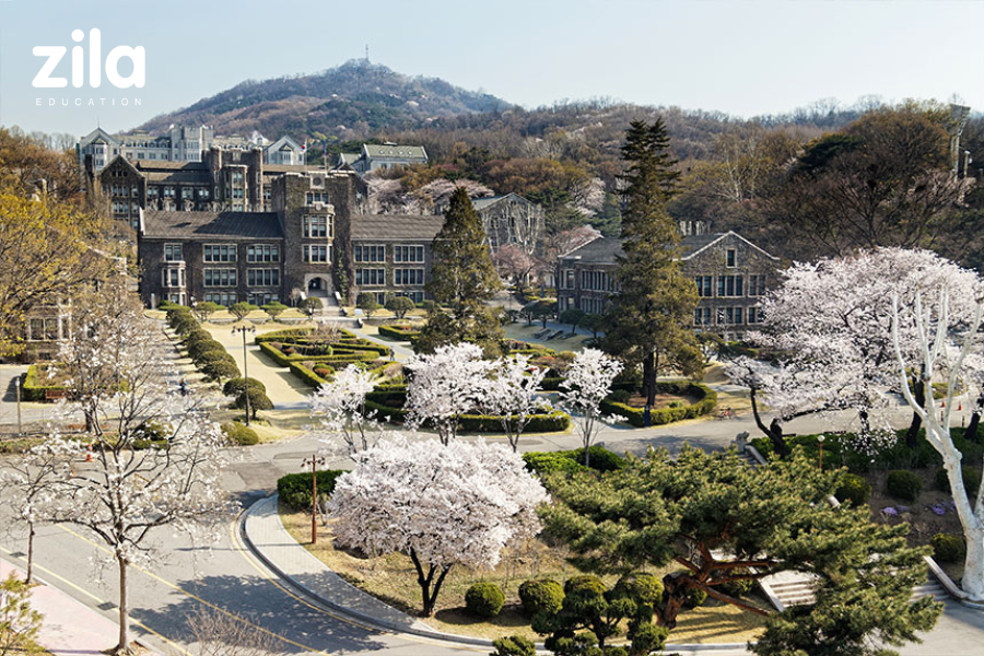 Đại học Yonsei - Zila
