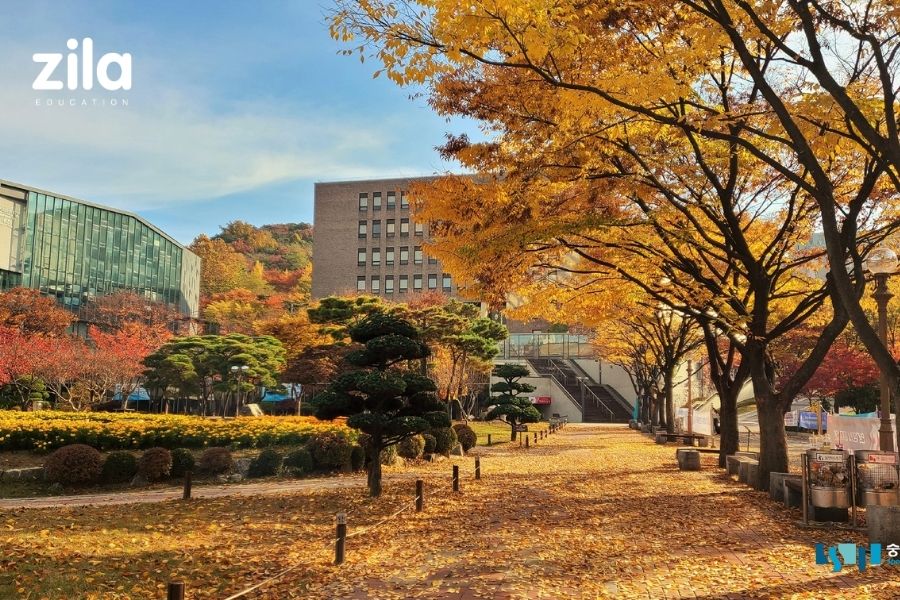 Trường Đại học Soongsil Hàn Quốc