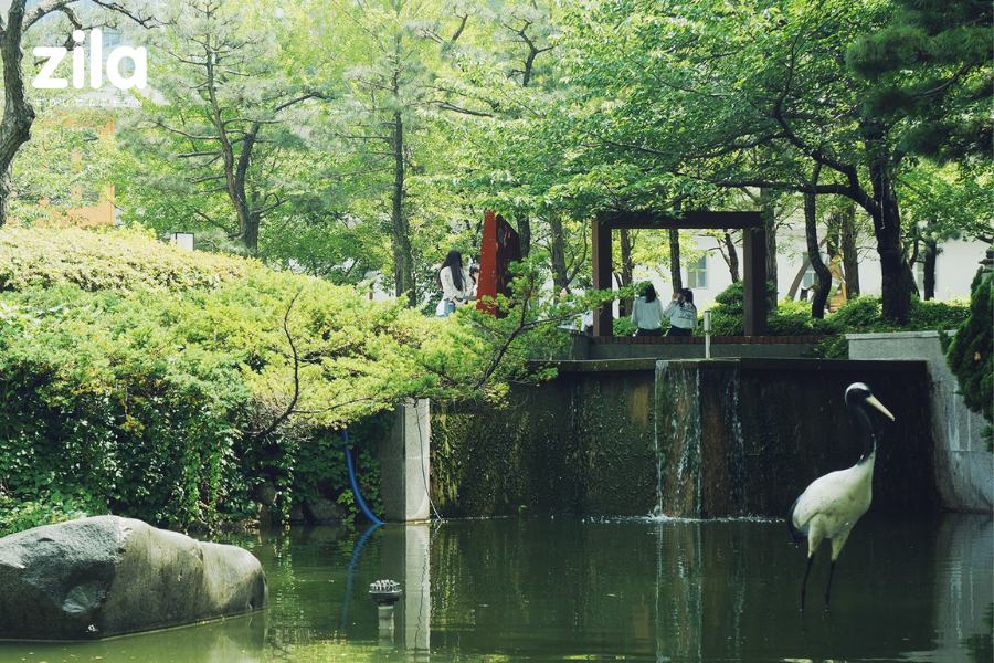 Trường Đại học Kyungsung Hàn Quốc Zila