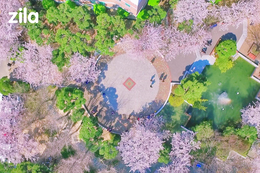 Trường Đại học Kyungsung Hàn Quốc Zila