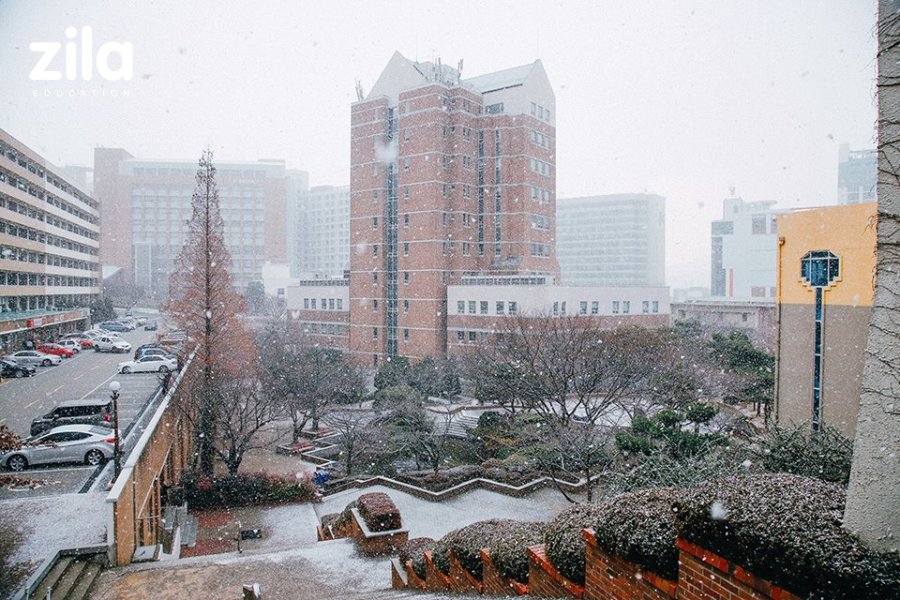 Trường Đại học Kyungsung Hàn Quốc Zila (4)