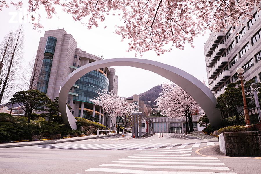 Đại học Dongseo Hàn Quốc