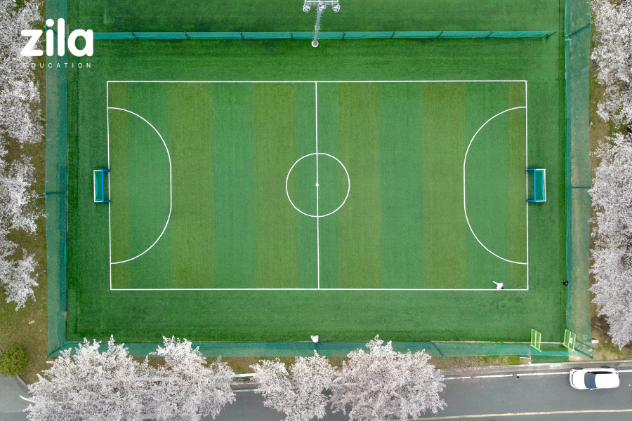 Đại học Dongshin Hàn Quốc