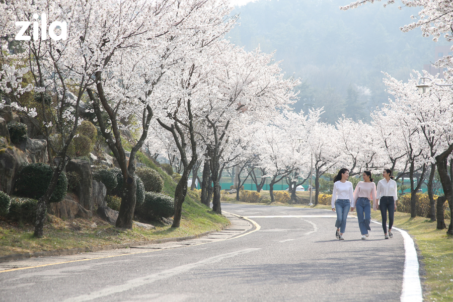 Đại học Dongshin Hàn Quốc