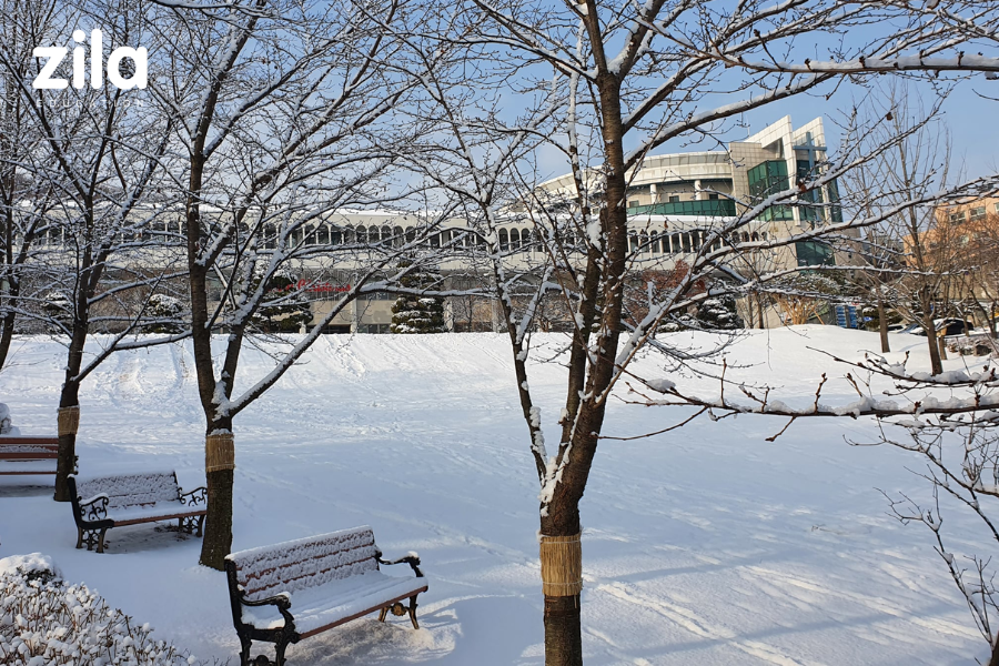 Trường Đại học Thần học Seoul Hàn Quốc