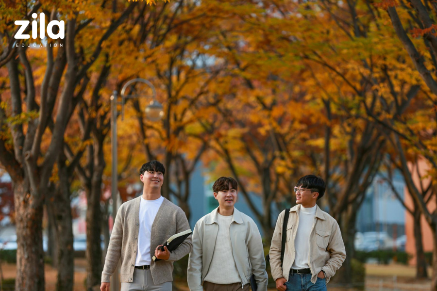 Đại học Daegu Catholic Hàn Quốc