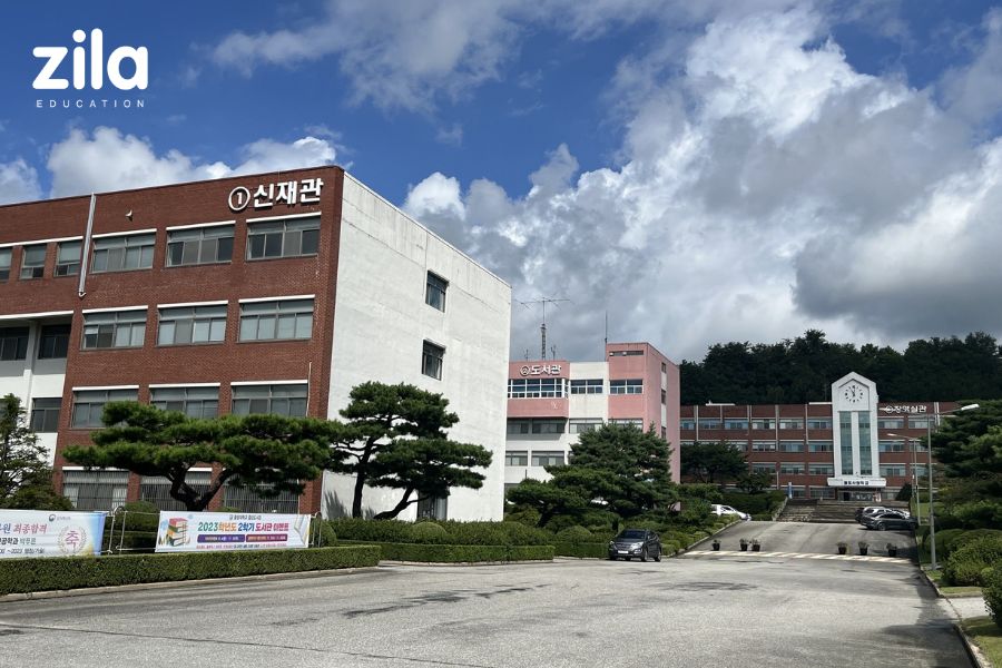 Trường Đại học Dongyang Hàn Quốc - Zila
