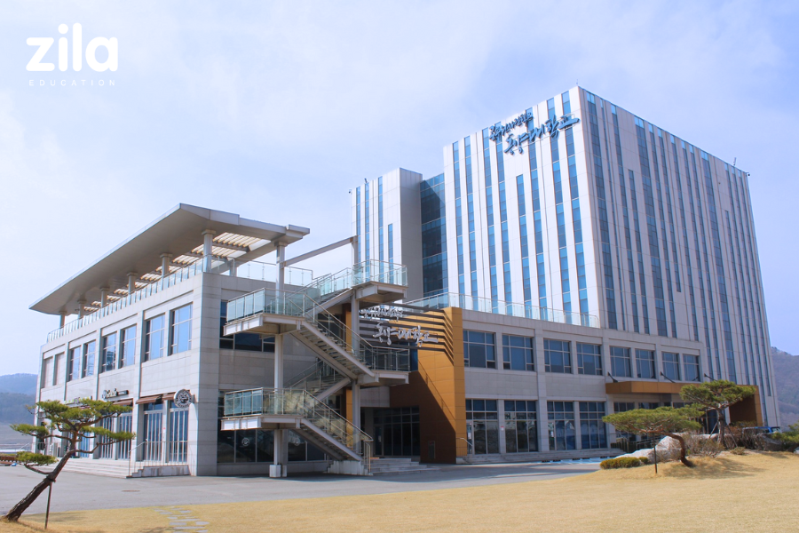 Trường Đại học Dongyang Hàn Quốc - Zila