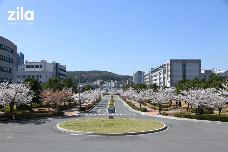 Đại học Hàng hải và Đại dương Hàn Quốc 