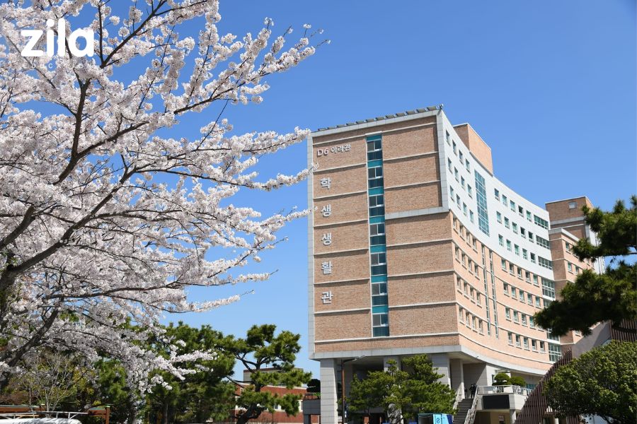 KTX Đại học Hàng hải và Đại dương Hàn Quốc