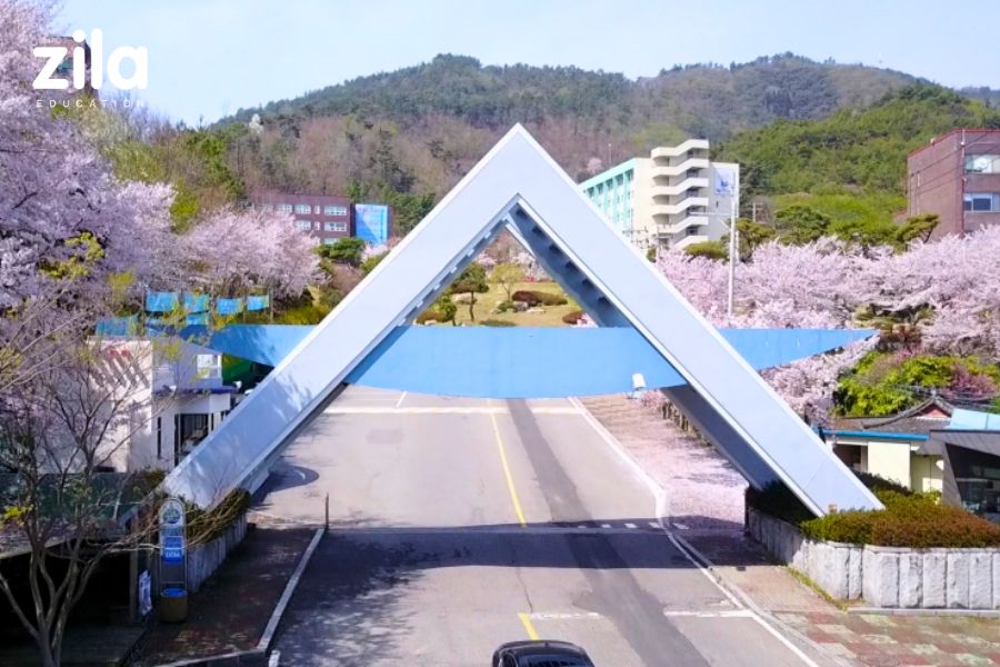 Cao đẳng Suncheon Jeil - Zila