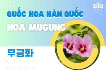 Quốc hoa Hàn Quốc - hoa Mugung